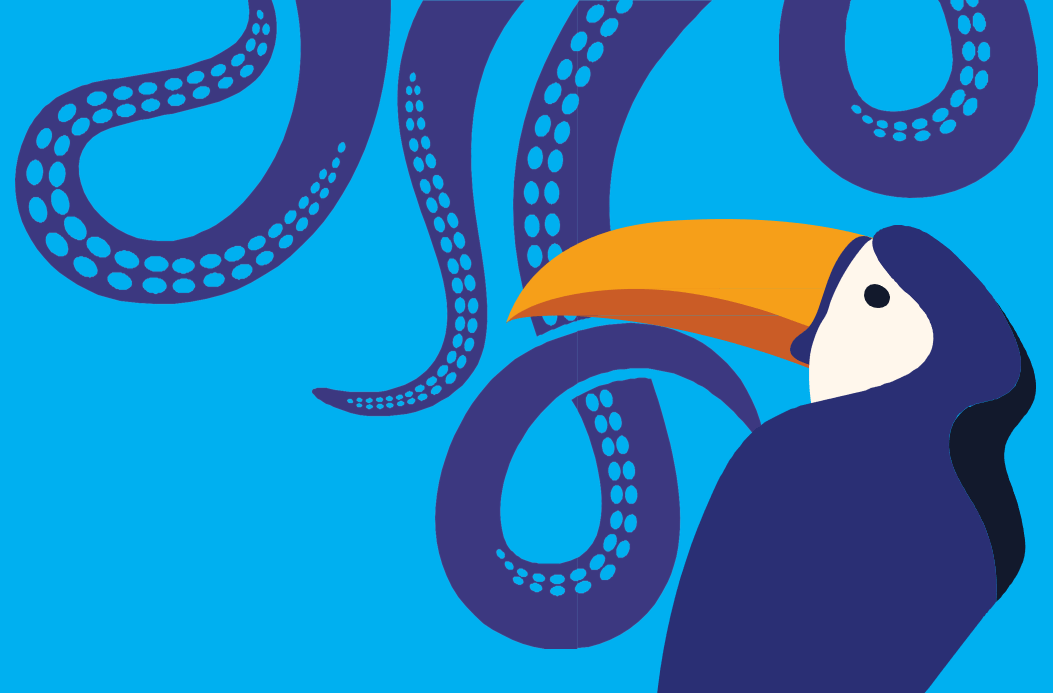 Visuel pour les pages 'Soft skills'